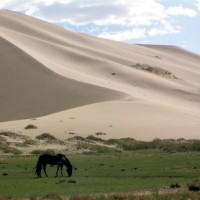 "Dude, Where's My Horse?"... Mongolians: World's Oldest Stoners