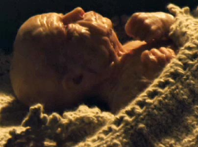 The Curious Case of Benjamin Button movies