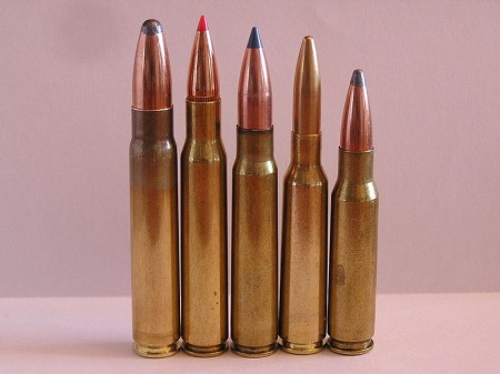 308 winchester round