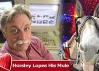 horsley-mule