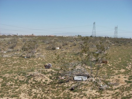 Victorville's pristine wildreness