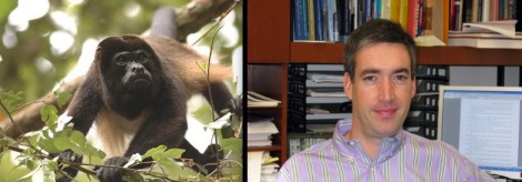 howler monkey vs mulligan -- family tree