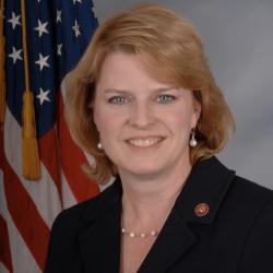 rep bean new democrat 