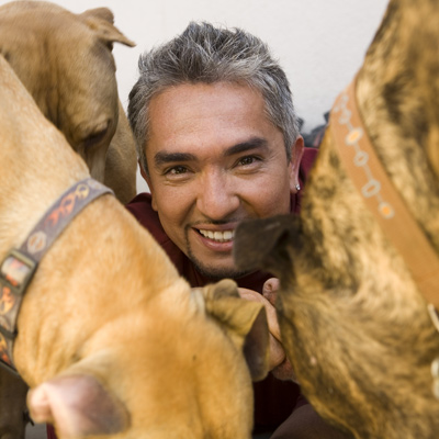 Cesar Millan Height