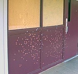 California Elementary School Peppered With Shotgun Buckshot 2 days in a Row