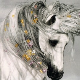 romantic-horse-rand-paul