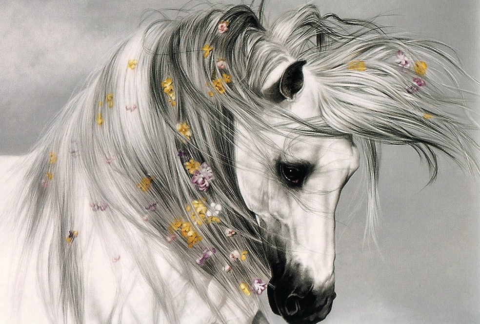 What Was Rand Paul Doing In Santa Cruz Horse Stable? Click Here For Answer