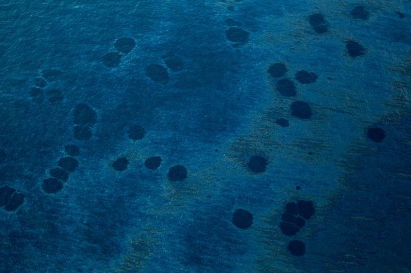 Tuesday's Tip: Gulf Oil Spill Pics Make Perfect Wallpaper For Your PC!