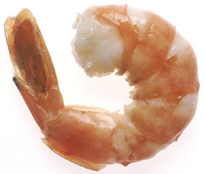 This is your shrimp on Prozac: "happy pills are tinkering with the creatures' brain chemistry, making them more vulnerable to being eaten by other fish and birds"  [HT: David]