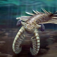 Schopenhauer Award: Freak Cambrian Predator's Eyes Had 16,000 Lenses...And A Circular-Saw Mouth...Thank You God, Really...